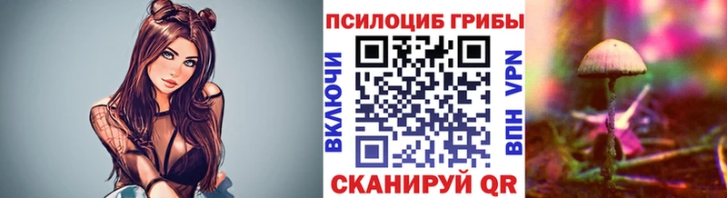 Псилоцибиновые грибы Cubensis  Нелидово 